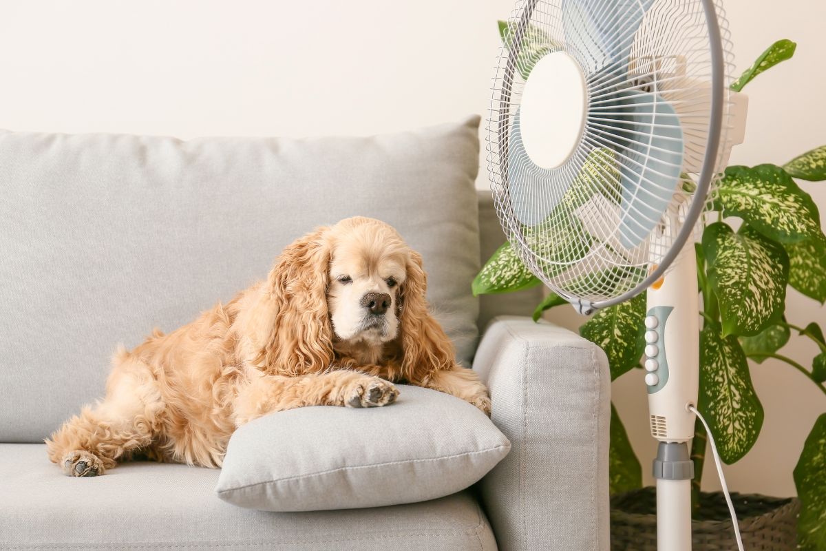 summer HVAC problems